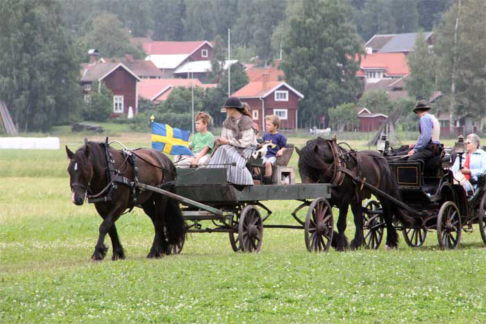 Bild_25