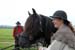 Bild_9