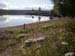 bryggan8